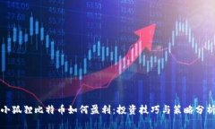 小狐狸比特币如何盈利：投资技巧与策略分析