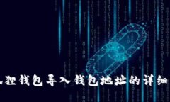 小狐狸钱包导入钱包地址的详细指南