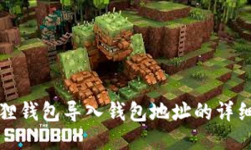 小狐狸钱包导入钱包地址的详细指南