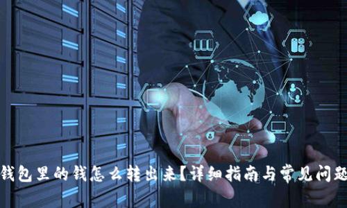 数字钱包里的钱怎么转出来？详细指南与常见问题解答