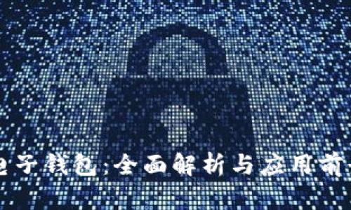 电子钱包：全面解析与应用前景