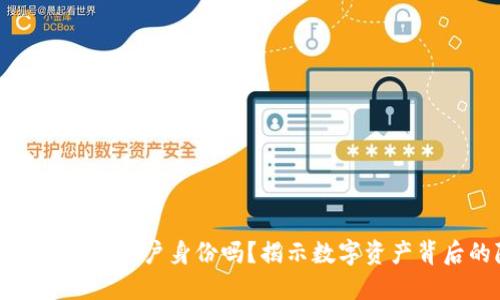 区块链钱包能查询到用户身份吗？揭示数字资产背后的隐私与安全