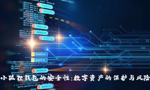 探秘小狐狸钱包的安全性：数字资产的保护与风险防范