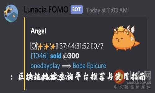 : 区块链地址查询平台推荐与使用指南