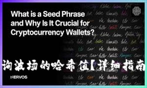 如何查询波场的哈希值？详细指南与步骤