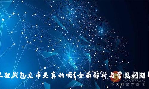 小狐狸钱包充币是真的吗？全面解析与常见问题解答