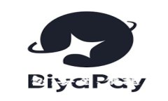 最出名的区块链钱包：安全、便捷与适用性全面