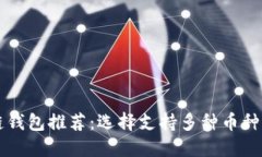 区块链钱包推荐：选择支持多种币种的钱包