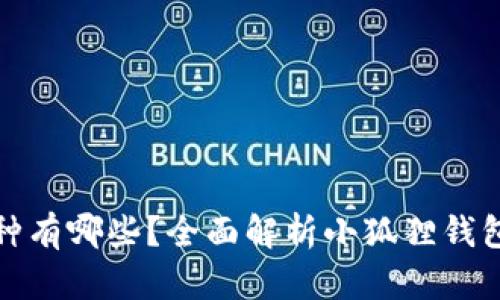 小狐狸钱包支持的币种有哪些？全面解析小狐狸钱包的数字货币支持情况