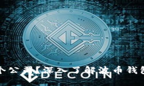 波币钱包是哪个公司？深入了解波币钱包的背景与发展