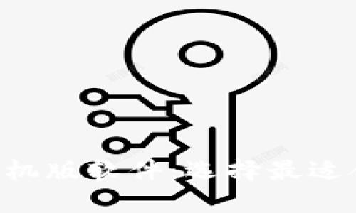 数字钱包app下载手机版软件：选择最适合你的数字钱包应用