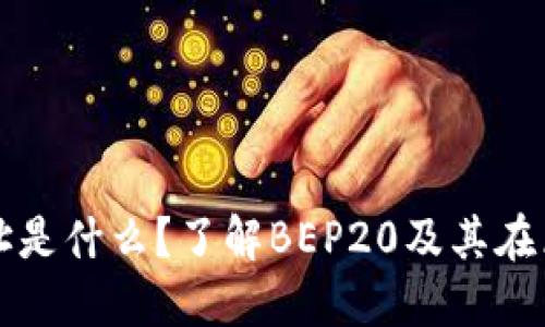 BEP20钱包地址是什么？了解BEP20及其在区块链中的作用