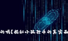 小狐狸币是真的吗？揭秘小狐狸币的真实面貌与