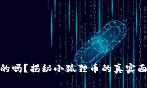 小狐狸币是真的吗？揭秘小狐狸币的真实面貌与投资风险