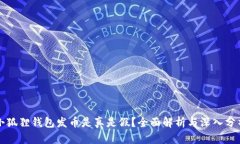 小狐狸钱包发币是真是假？全面解析与深入分析