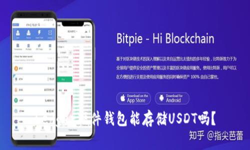 Ledger硬件钱包能存储USDT吗？