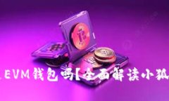 : 小狐狸钱包地址是EVM钱包吗？全面解读小狐狸钱