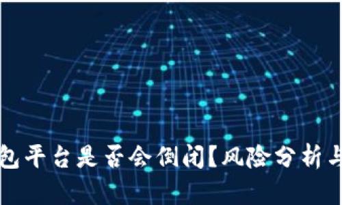 虚拟币钱包平台是否会倒闭？风险分析与应对策略