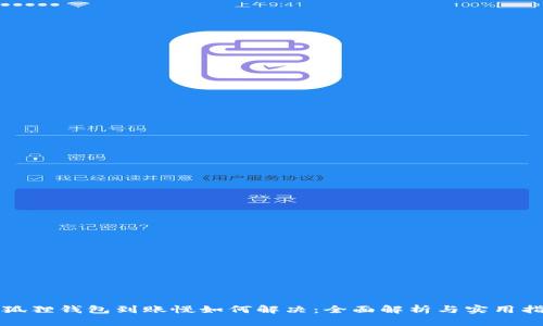 小狐狸钱包到账慢如何解决：全面解析与实用指南