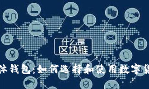 数字货币实体钱包：如何选择和使用数字货币实体钱包