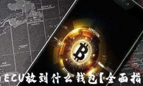 
数字货币ECU放到什么钱包？全面指南与推荐