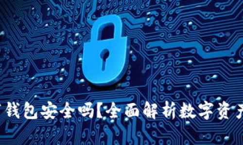 C币数字钱包安全吗？全面解析数字资产安全性