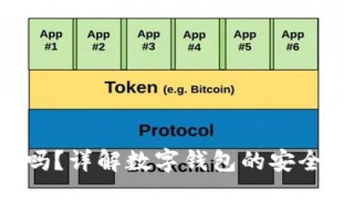 拍立数字钱包安全吗？详解数字钱包的安全性与使用注意事项