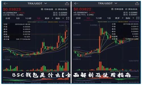 BSC钱包是什么？全面解析及使用指南