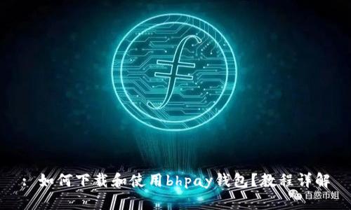 : 如何下载和使用bhpay钱包？教程详解
