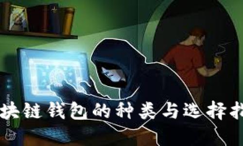 区块链钱包的种类与选择指南