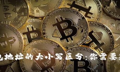 虚拟币钱包地址的大小写区分：你需要知道的一切