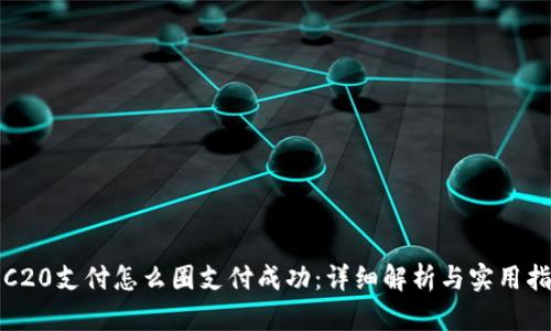 TRC20支付怎么圈支付成功：详细解析与实用指南