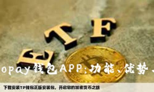和关键词

全面分析Gopay钱包APP：功能、优势与使用技巧