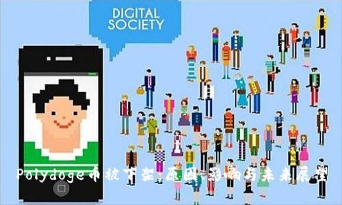 Polydoge币被下架：原因、影响与未来展望