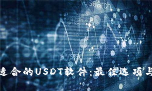 选择适合的USDT软件：最佳选项与比较