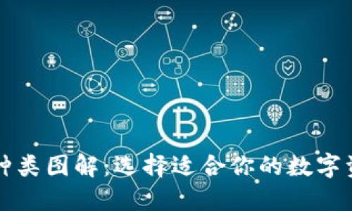 区块链钱包种类图解：选择适合你的数字资产管理工具