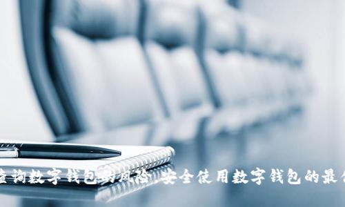 如何查询数字钱包的风险，安全使用数字钱包的最佳实践