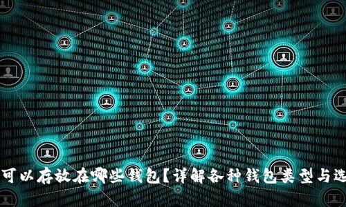 虚拟币可以存放在哪些钱包？详解各种钱包类型与选择指南