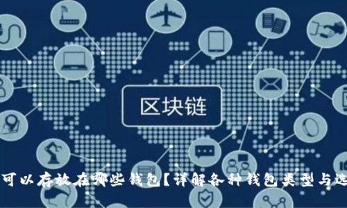 虚拟币可以存放在哪些钱包？详解各种钱包类型与选择指南