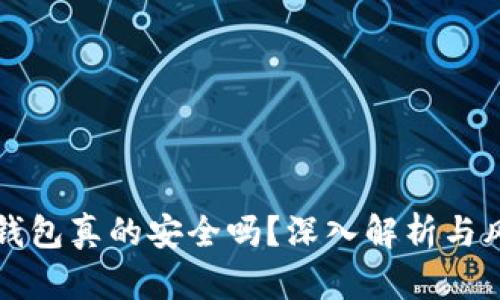 区块链钱包真的安全吗？深入解析与风险管理