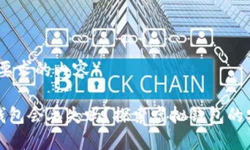 （假设这是你要求的内容）

虚拟币在线钱包会丢失吗？探索虚拟钱包的安全性与风险