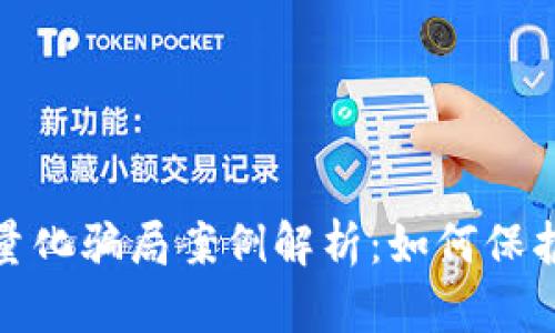 数字货币钱包量化骗局案例解析：如何保护自己免受诈骗