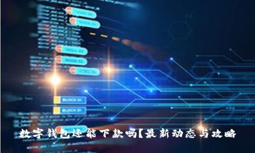 数字钱包还能下款吗？最新动态与攻略
