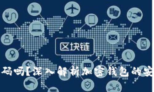 加密钱包需要密码吗？深入解析加密钱包的安全性与使用技巧