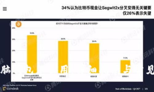 区块链电脑钱包怎么用：详细指南与常见问题解答