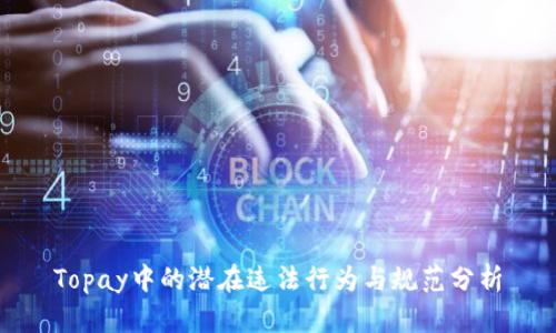 Topay中的潜在违法行为与规范分析