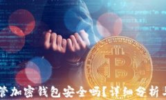 自托管加密钱包安全吗？详细分析与建议