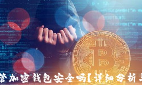 
自托管加密钱包安全吗？详细分析与建议