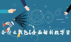 数字货币适合什么钱包？全面解析数字货币钱包
