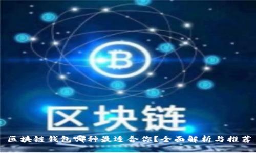 区块链钱包哪种最适合你？全面解析与推荐